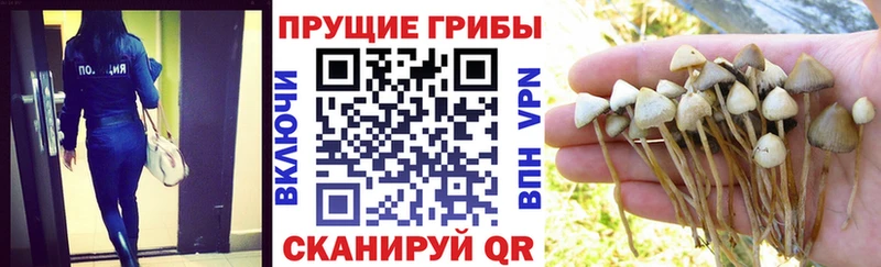 МЕГА зеркало  Шелехов  Галлюциногенные грибы ЛСД  закладка 
